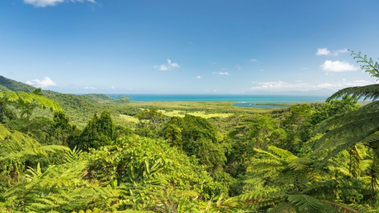 SquareBySquare is revolutionising real estate by blending conservation with property sales. Photo Getty Images