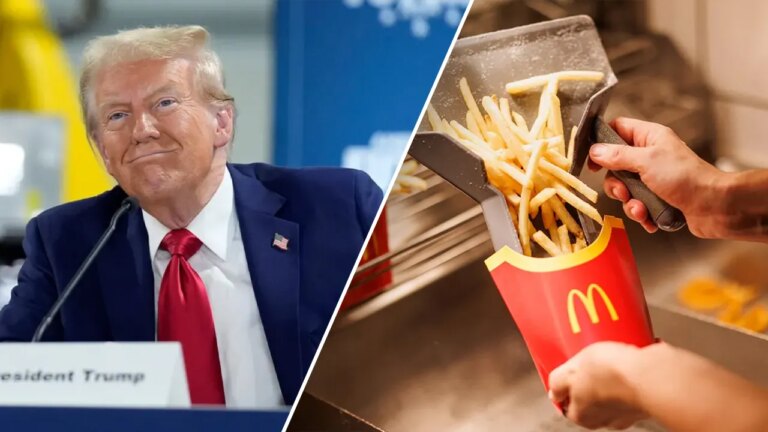 trump fries