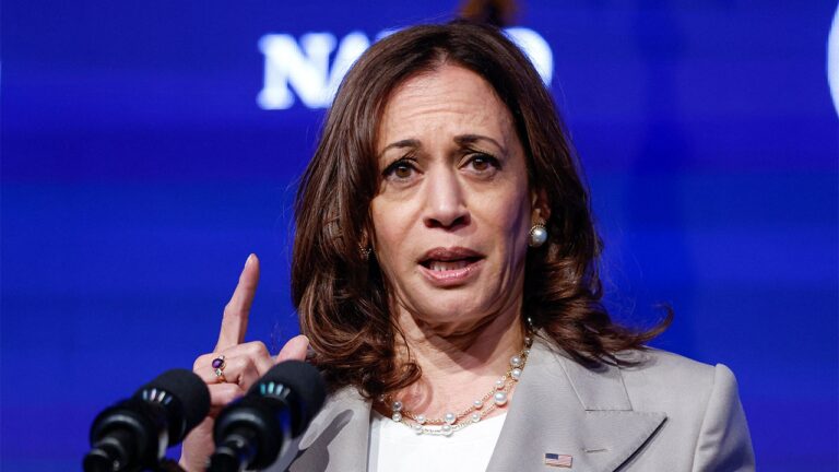 Kamala Harris Texas Migrant Deaths