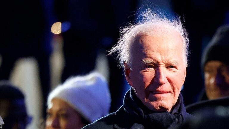 biden hair 3