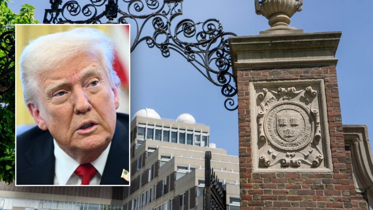 trump harvard 2
